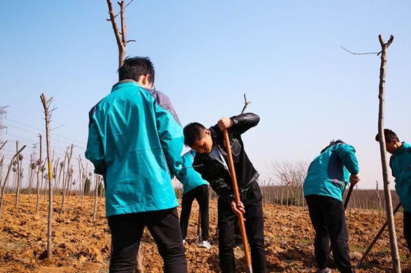 “攜手植樹，共創(chuàng)藍天”丨南京新華師生共筑新華育才林
