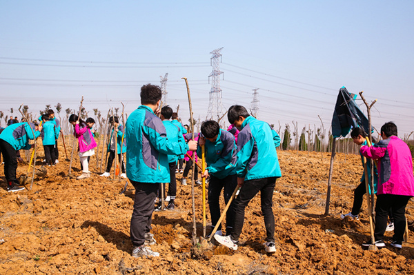“攜手植樹，共創(chuàng)藍天”丨南京新華師生共筑新華育才林
