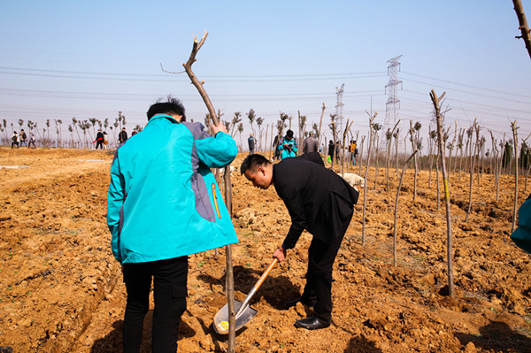 “攜手植樹，共創(chuàng)藍天”丨南京新華師生共筑新華育才林
