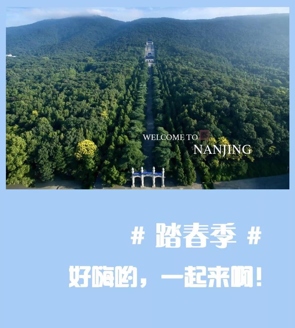 安排上了，南京新華邀你共赴免費(fèi)體驗營
