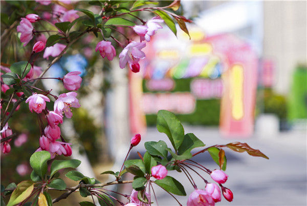 校園開放日初體驗(yàn)，帶你走進(jìn)南新，走進(jìn)互聯(lián)網(wǎng)
