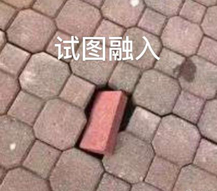新華互聯(lián)網科技正式入駐Bilibili！會摩擦出什么樣火花呢？